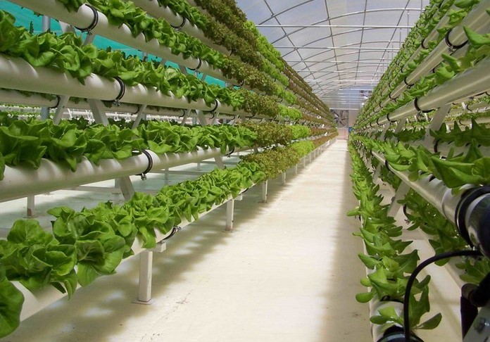 Pametna poljoprivreda: Posao budućnosti