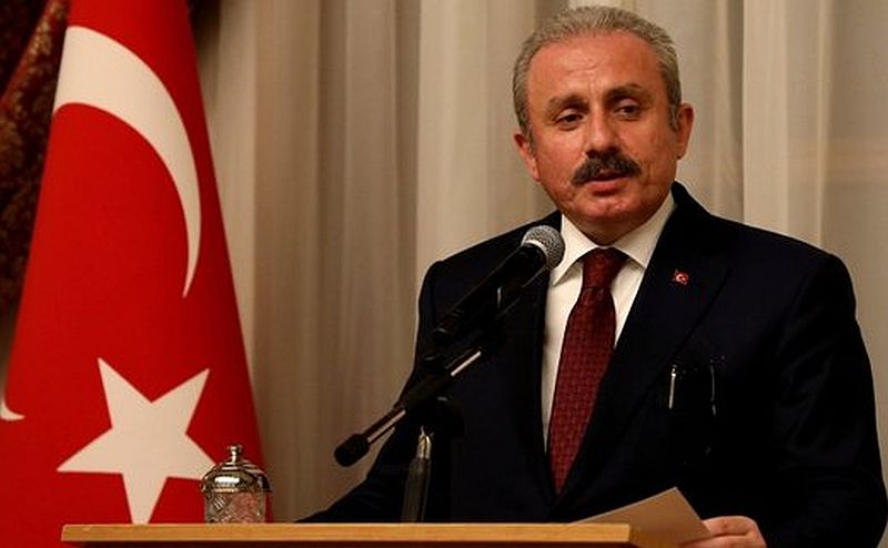 SENTOP: Ne postoji ni jedan pravni kriterij da se događaji iz 1915. okarakteriziraju genocidom