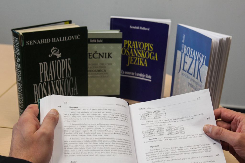 Naziv bosanski jezik: Ponornica koja je uvijek imala vitalnost da preživi svoja zatočenja