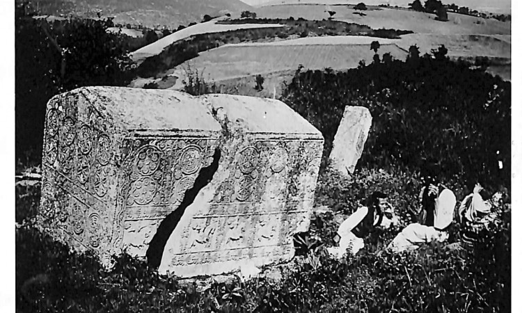 Objavljene rijetke fotografije Zgošćanskog stećka