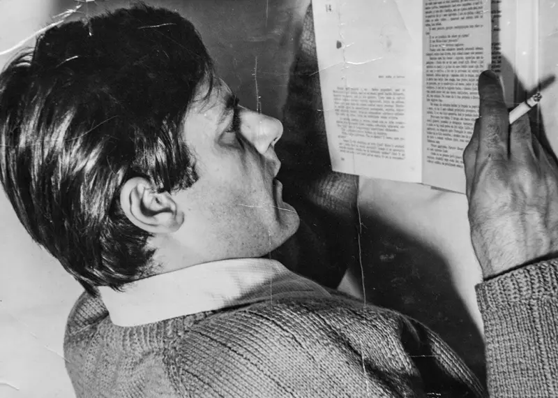 Nedžad Ibrišimović – “Vječnik”