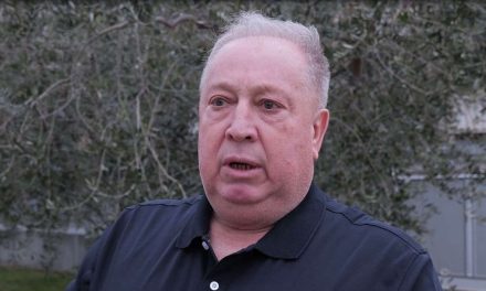 Muratagić o iskoracima Bošnjaka: Moramo djelovati, biti odvažni i glasni