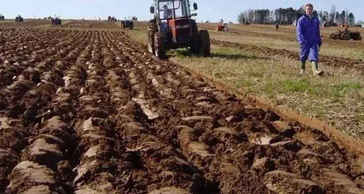Bosna i Hercegovina zarasla u šikaru, a poljoprivreda traži ruku spasa