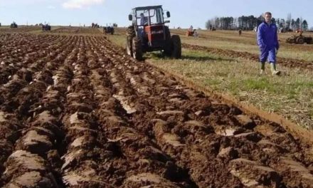 Bosna i Hercegovina zarasla u šikaru, a poljoprivreda traži ruku spasa