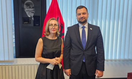 Srdačan sastanak albanske veleposlanice i Armina Hodžića