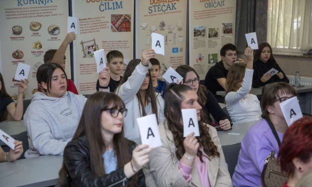 Bosanski jezik i kultura po Modelu C: Pravo koje postoji i treba ga samo iskoristiti